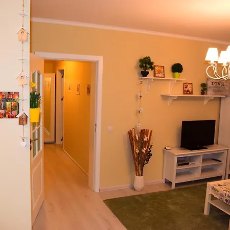 Luxury Apartment