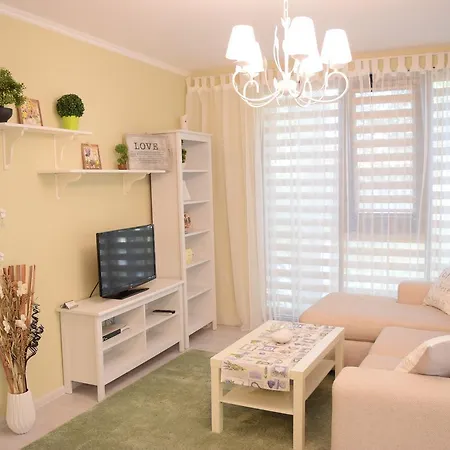 Luxury Apartment